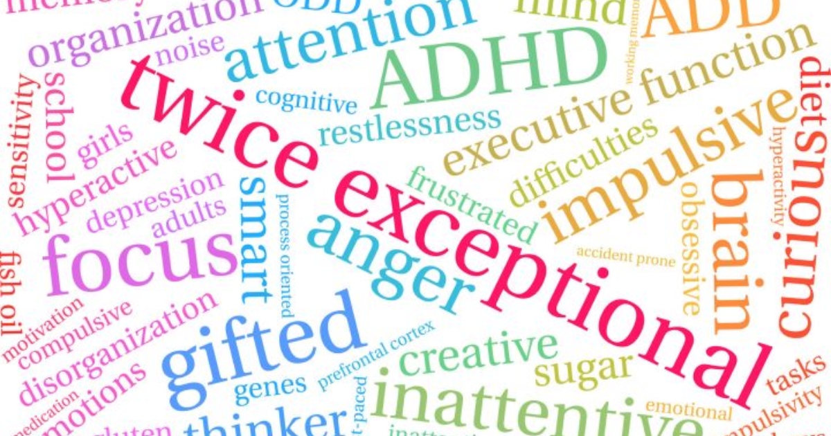 Exceptionally Gifted Children