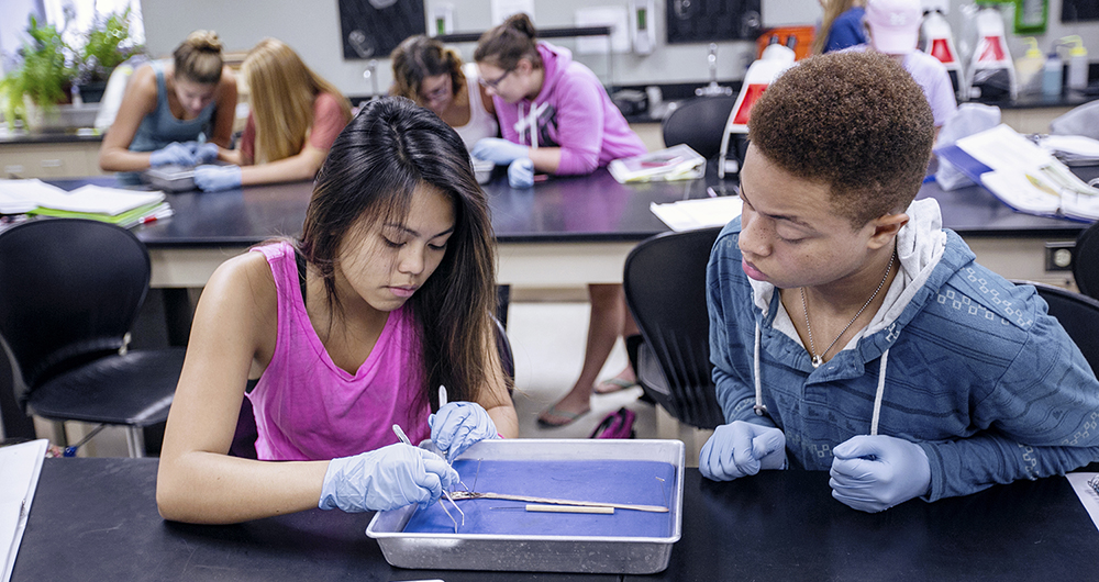 Biology-Majors-Banner-IMG_7860